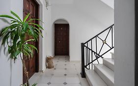 Katerina Studios